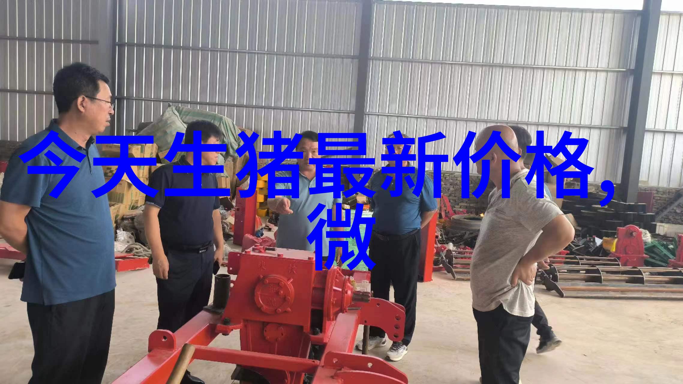 发情母猪何时配种好