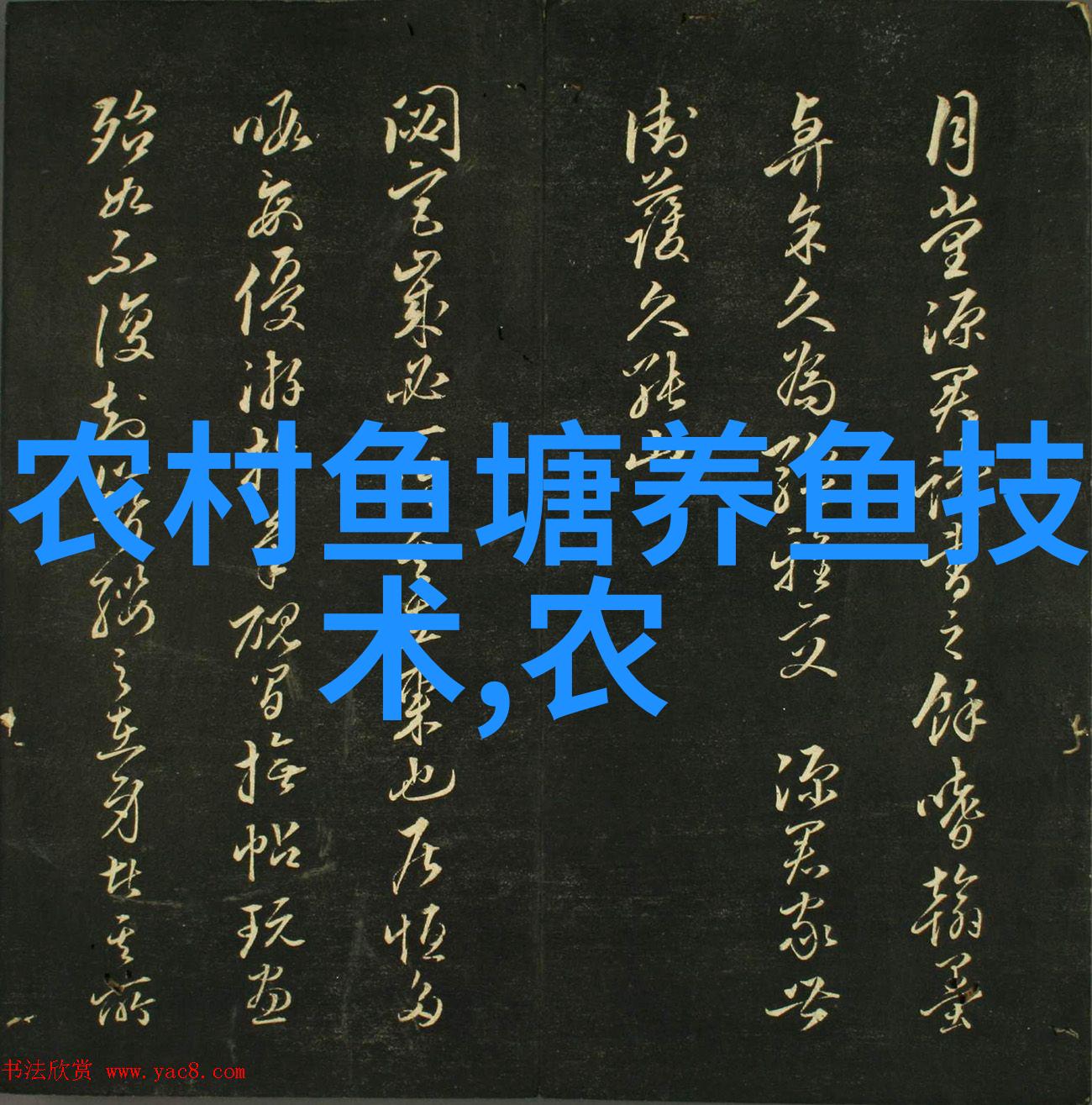 怎么让母猪多产奶